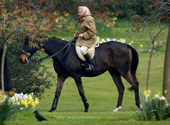 الملكة إليزابيث الثانية تركب حصانها في أرض قلعة وندسور