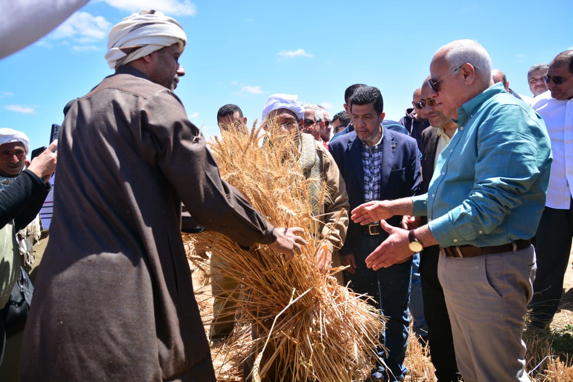محافظ بورسعيد يعاين محصول القمح بعد حصاده