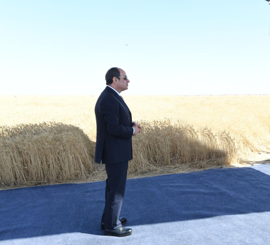 الرئيس-السيسى-يشهد-بدء-موسم-حصاد-القمح-فى-توشكى