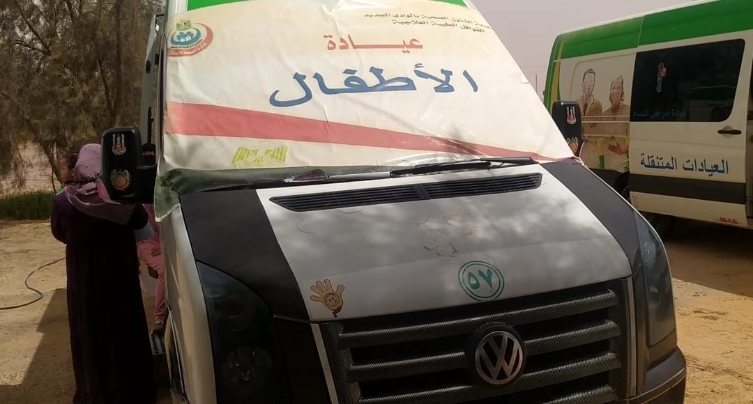 علاج236 حالة مرضية بقرية صنعاء ضمن قوافل حياه كريمة بالوادي الجديد (1)