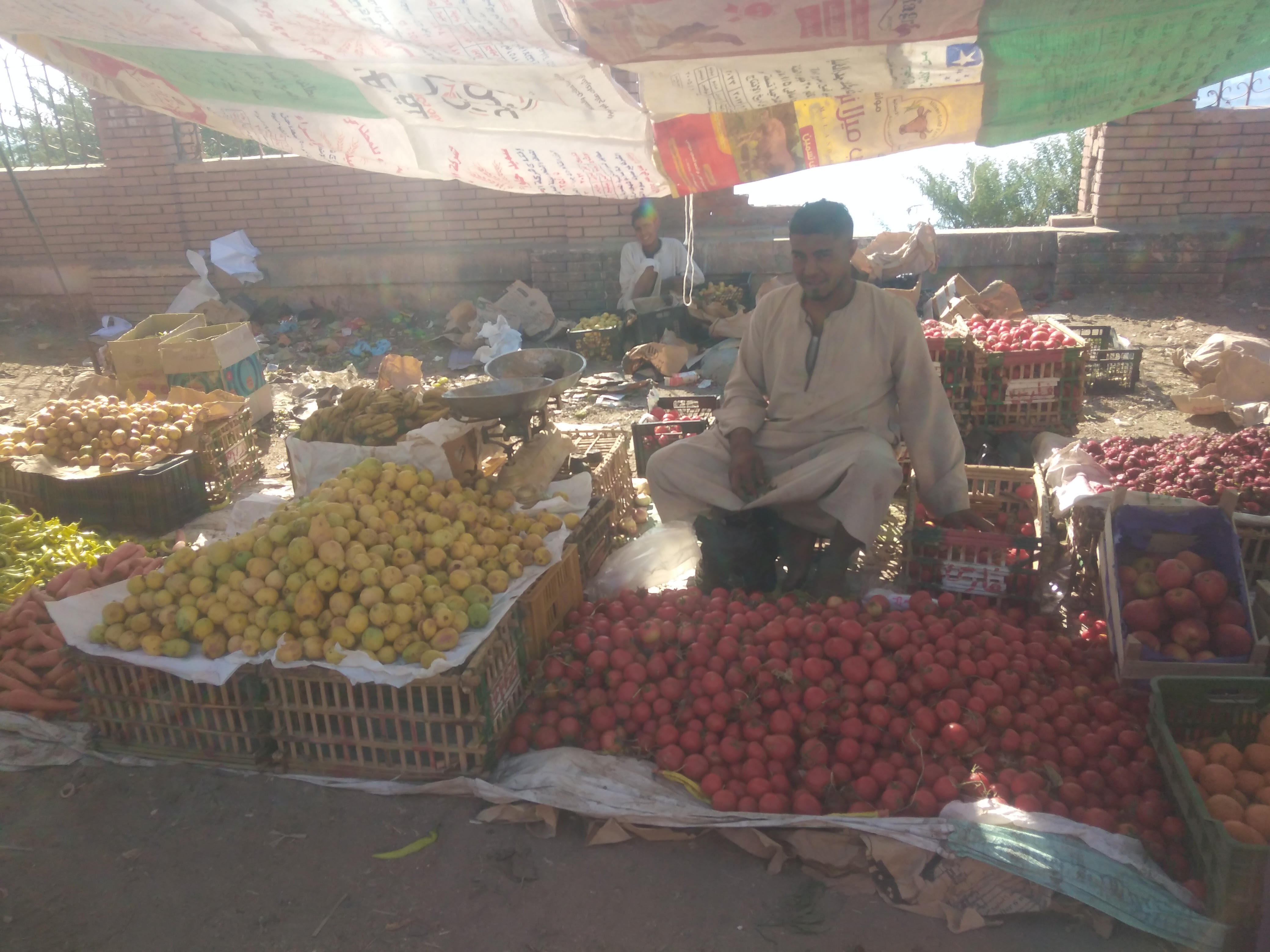 عرض الطمام والخضراوات بسوق قنا بسعر 10 للطماطم