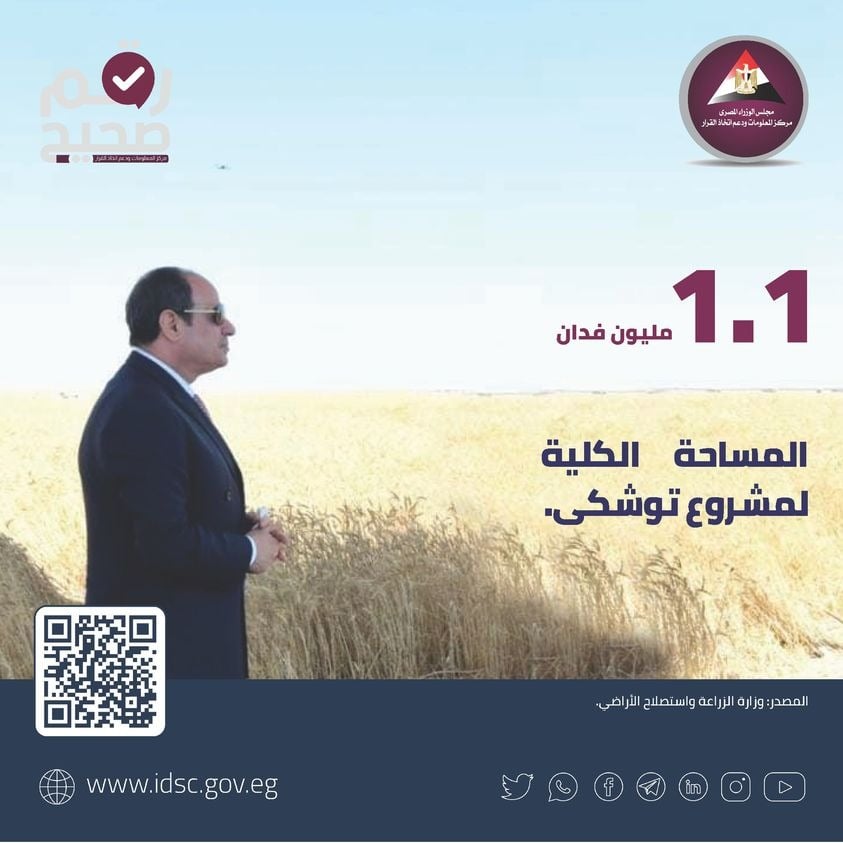 مشروع توشكي يضيف 1.1 مليون فدان للرقعة الزراعية في مصر
