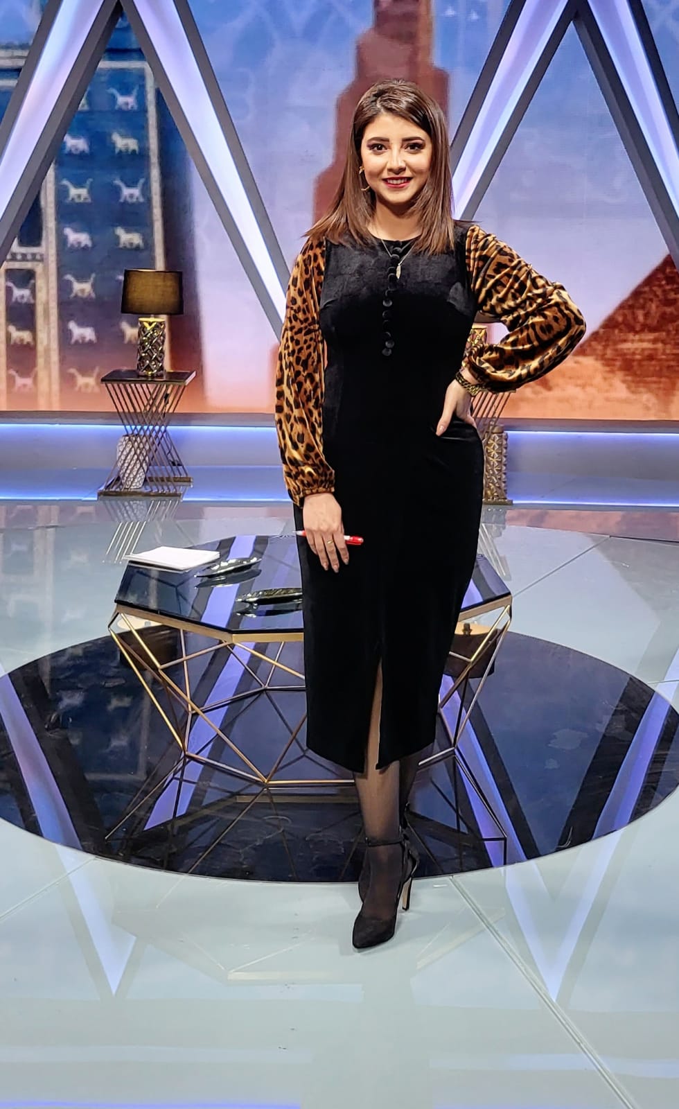 المذيعة الكبيرة ياسمين شملاوى