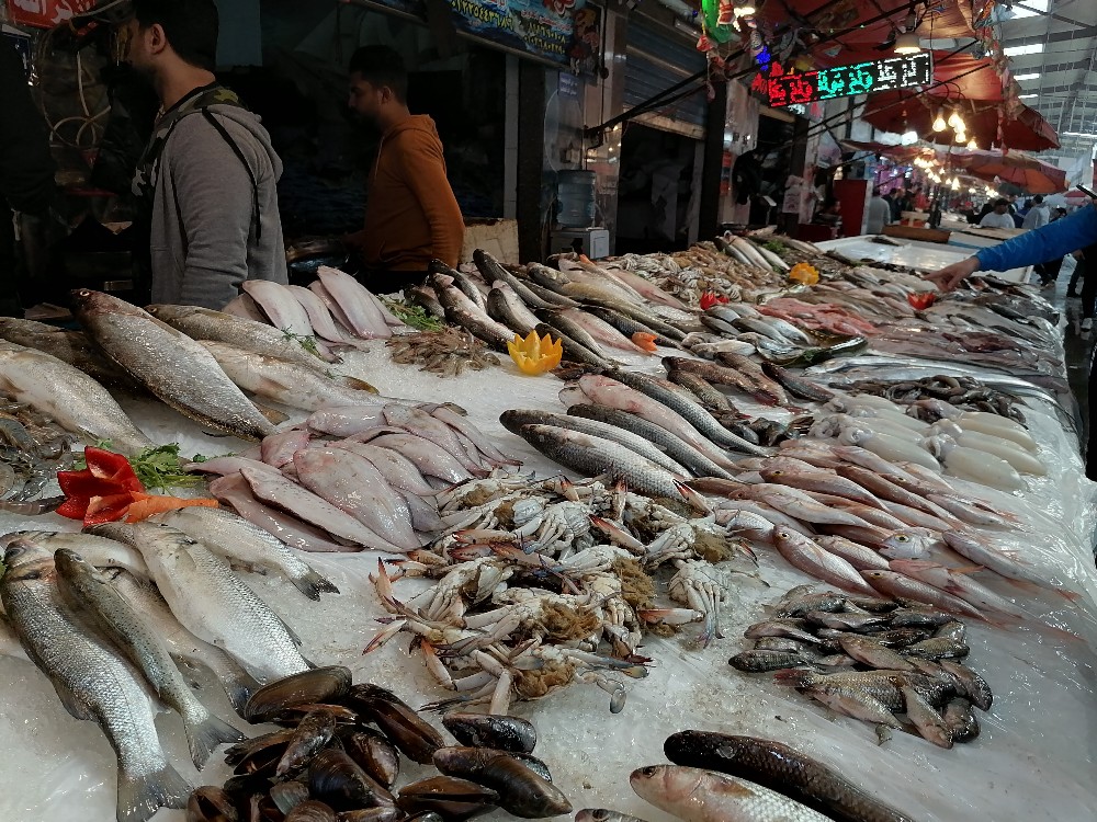 سوق سمك بورسعيد اليوم