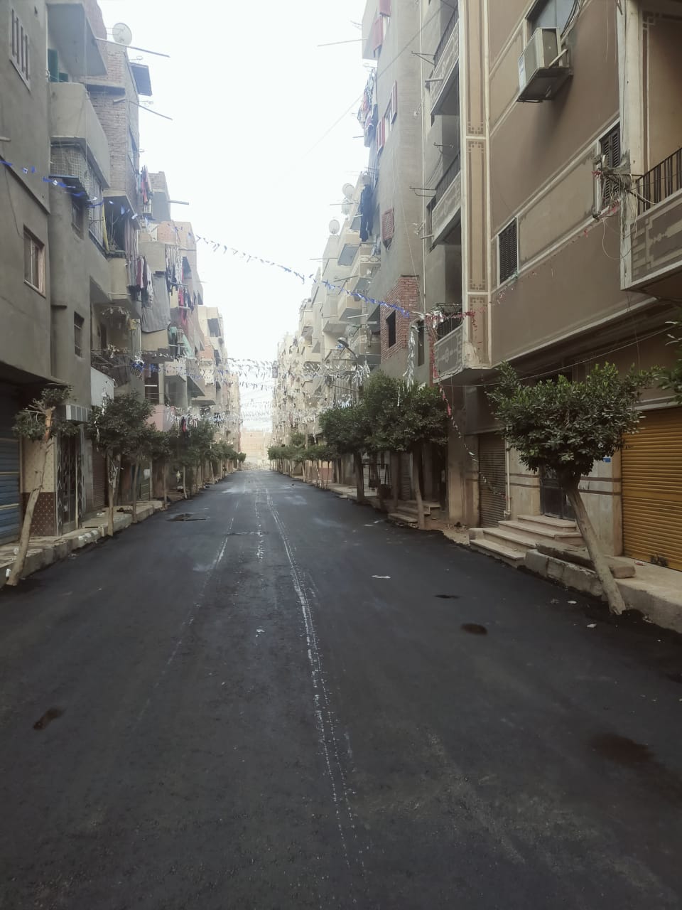 رصف الشوارع غرب كفر الشيخ