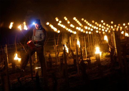 مزارع فرنسي يشعل المصابيح