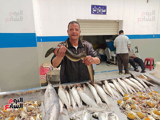سوق-الأسماك-الجديد-بالإسماعيلية-(4)