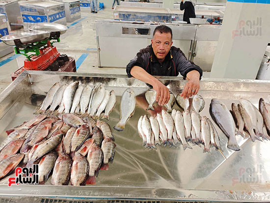 سوق-السمك-بالإسماعيلية-(2)