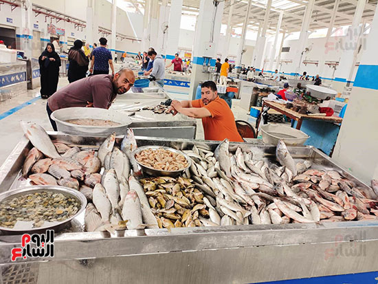 سوق-السمك-بالإسماعيلية-(3)