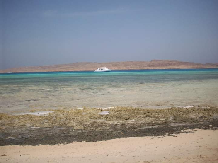 جزيرة الجفتون القريبة من شواطئ الغردقة  