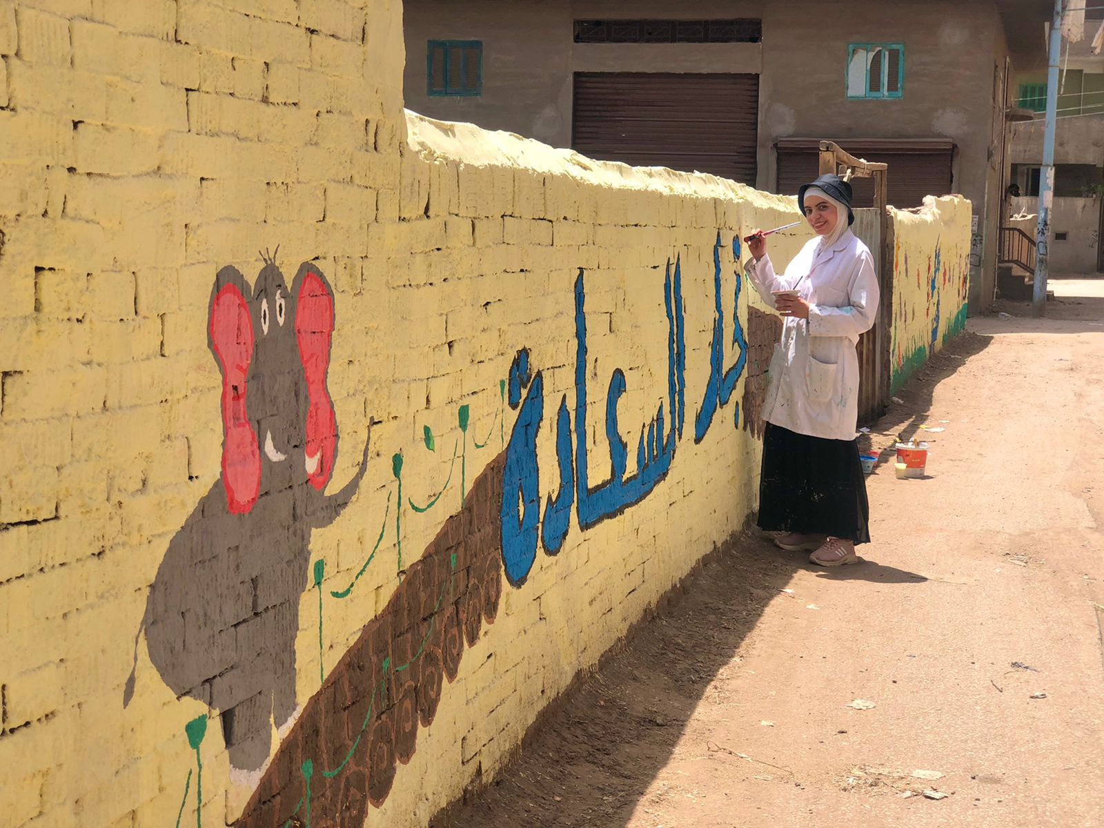جنة أحمد تزين شوارع الدقهلية بجداريات فنية (9)