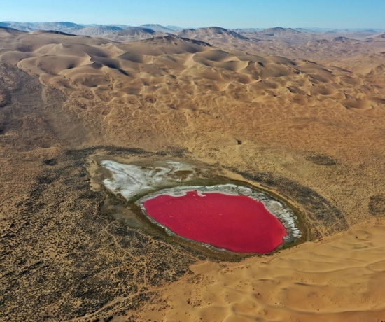 بحيرة حمراء فى صحراء الصين