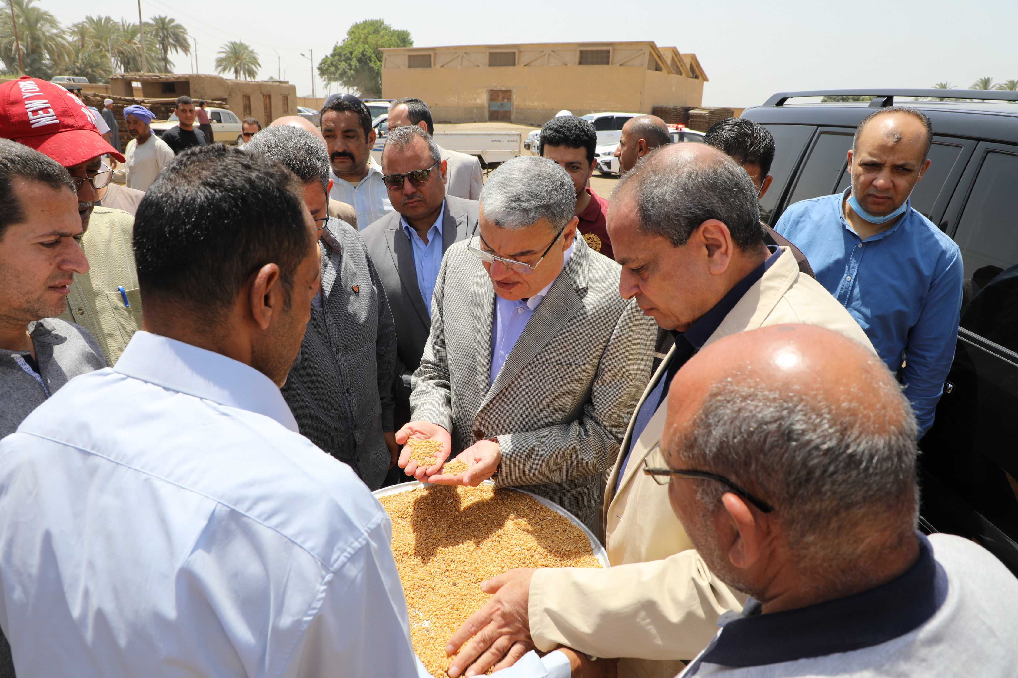  توريد القمح بعدد من الشون والصوامع بمدينة المنيا (8)