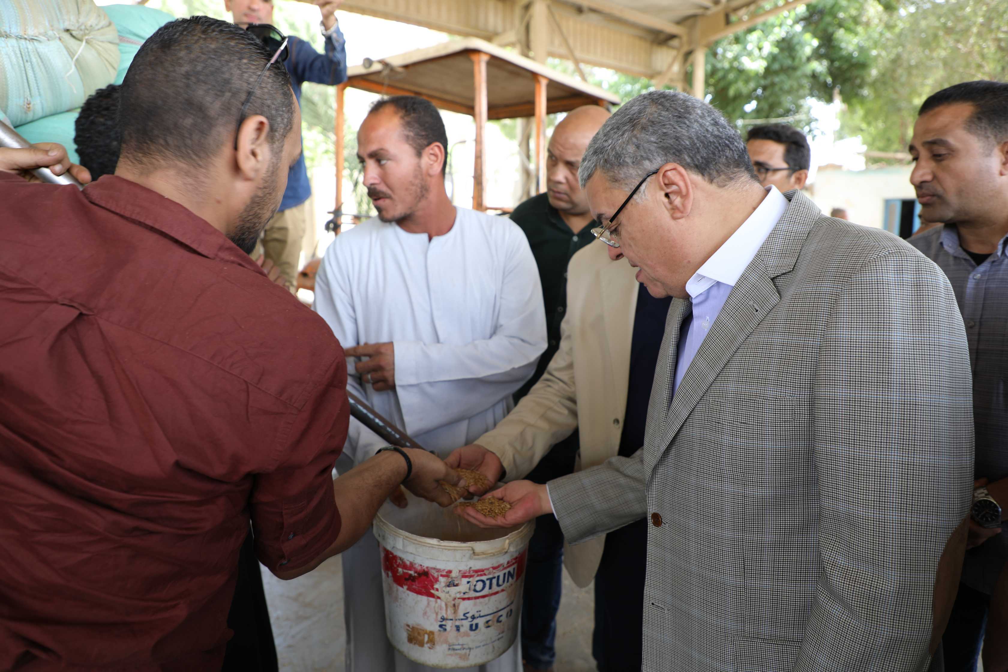 توريد القمح بعدد من الشون والصوامع بمدينة المنيا (1)