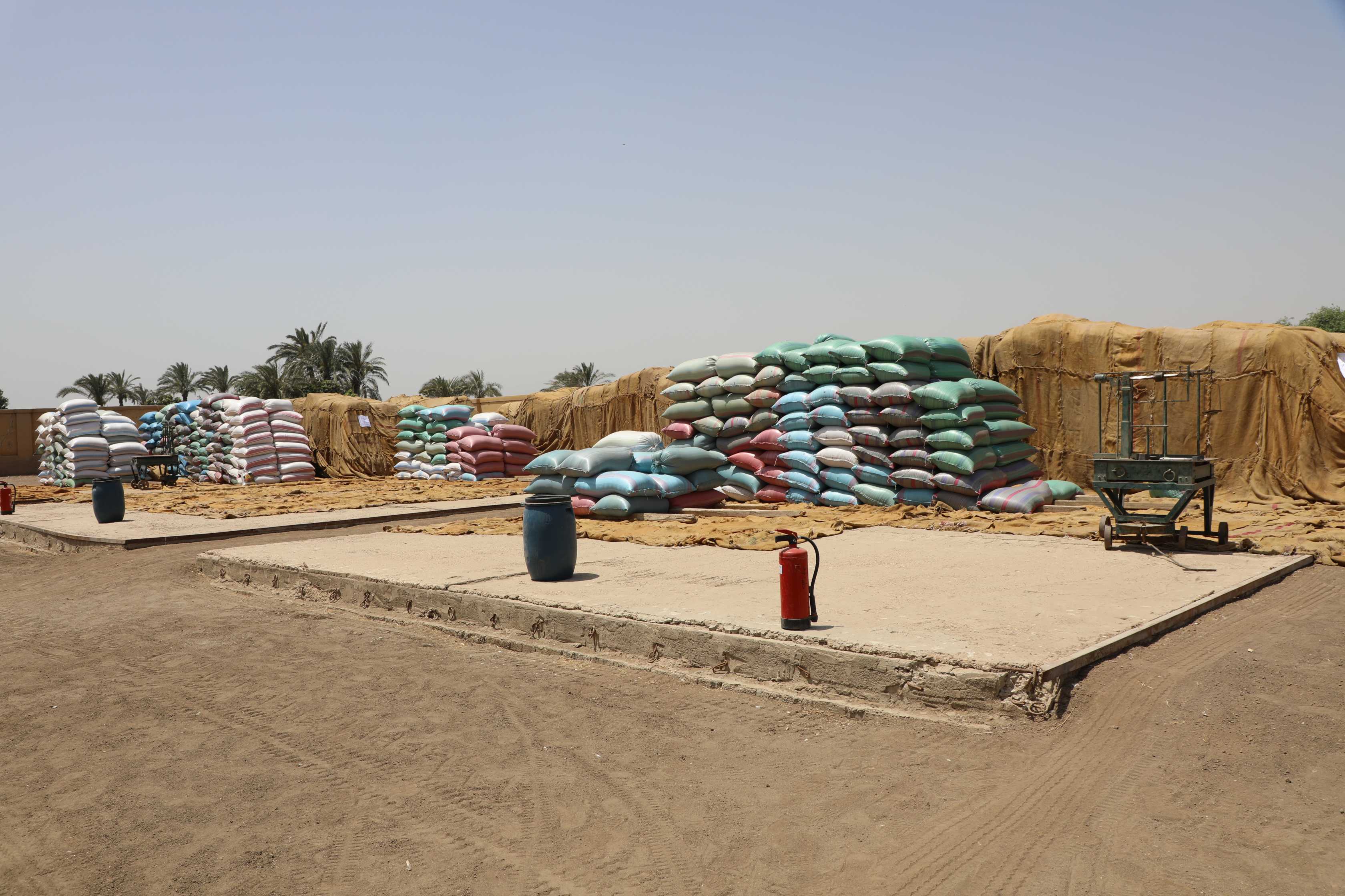  توريد القمح بعدد من الشون والصوامع بمدينة المنيا (12)