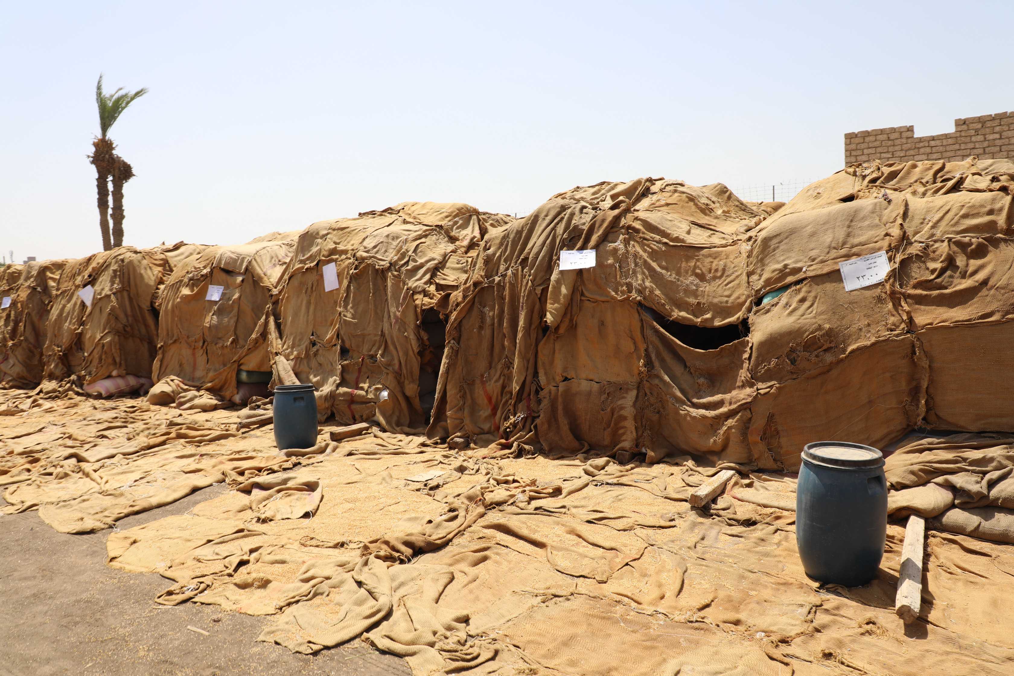  توريد القمح بعدد من الشون والصوامع بمدينة المنيا (6)