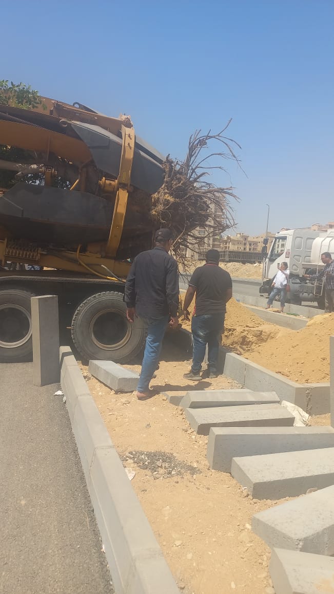 سيارات ومعدات نقل الاشجار والنخيل وإعادة زراعتها سيارات ومعدات نقل الاشجار والنخيل وإعادة زراعتها