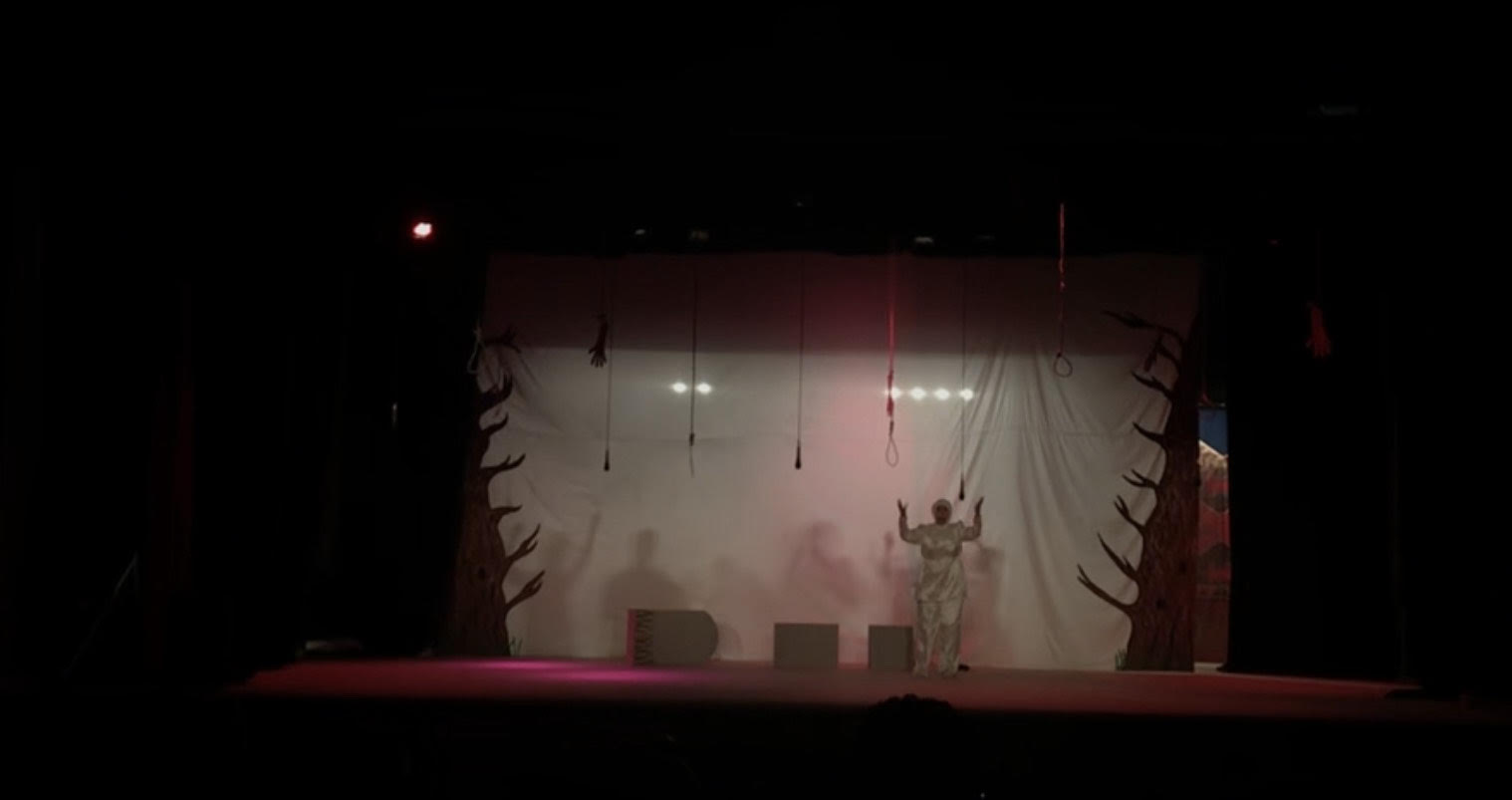 مسرحية الزيارة تعيد البهجة لخشبة مسرح قصر ثقافة العريش (7)