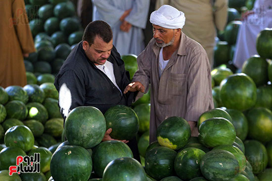 حَمار وحلاوة.. سوق الساحل بمصر القديمة يشهد إقبالا بمناسبة موسم البطيخ (22)