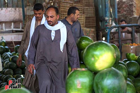 حَمار وحلاوة.. سوق الساحل بمصر القديمة يشهد إقبالا بمناسبة موسم البطيخ (36)