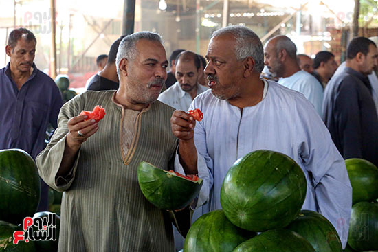 حَمار وحلاوة.. سوق الساحل بمصر القديمة يشهد إقبالا بمناسبة موسم البطيخ (33)