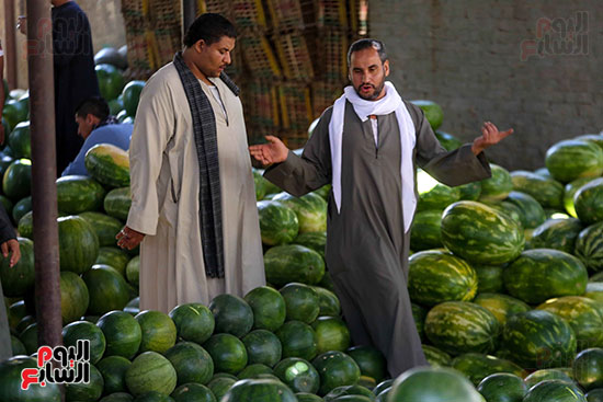 حَمار وحلاوة.. سوق الساحل بمصر القديمة يشهد إقبالا بمناسبة موسم البطيخ (25)