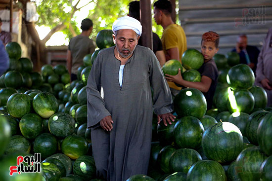 حَمار وحلاوة.. سوق الساحل بمصر القديمة يشهد إقبالا بمناسبة موسم البطيخ (9)