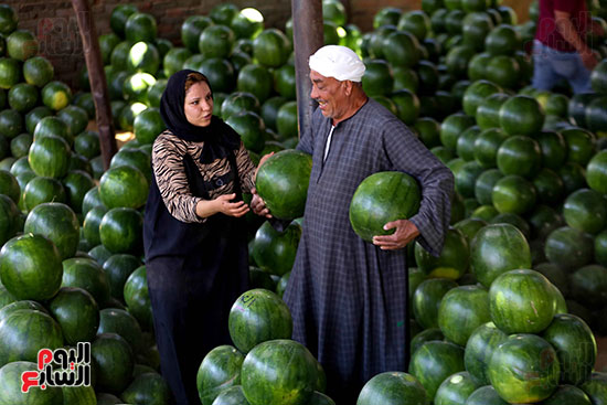 حَمار وحلاوة.. سوق الساحل بمصر القديمة يشهد إقبالا بمناسبة موسم البطيخ (24)