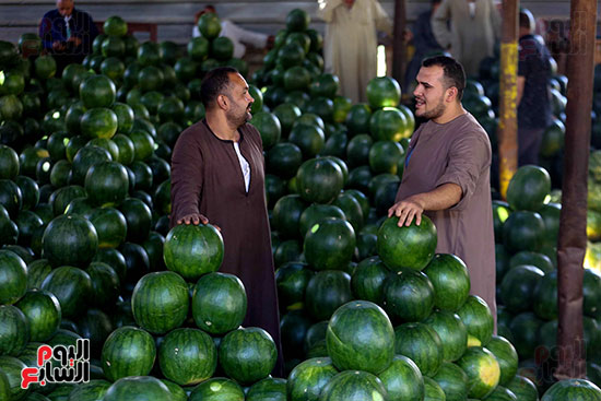 حَمار وحلاوة.. سوق الساحل بمصر القديمة يشهد إقبالا بمناسبة موسم البطيخ (23)