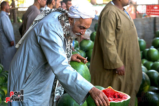 حَمار وحلاوة.. سوق الساحل بمصر القديمة يشهد إقبالا بمناسبة موسم البطيخ (37)