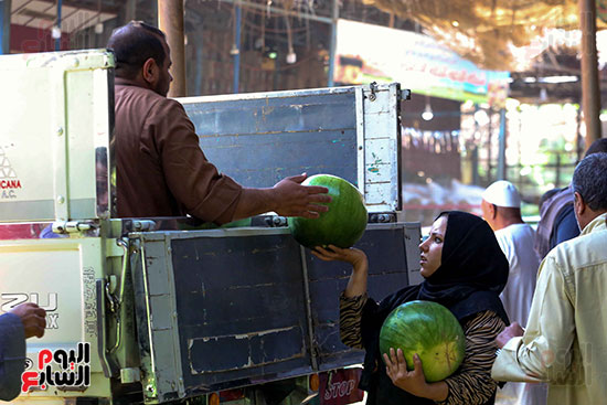 حَمار وحلاوة.. سوق الساحل بمصر القديمة يشهد إقبالا بمناسبة موسم البطيخ (2)