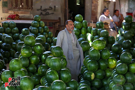 حَمار وحلاوة.. سوق الساحل بمصر القديمة يشهد إقبالا بمناسبة موسم البطيخ (18)