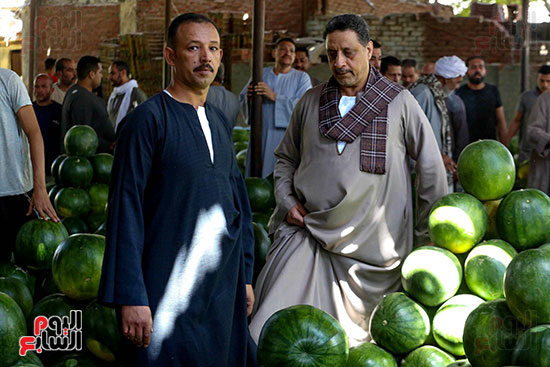 حَمار وحلاوة.. سوق الساحل بمصر القديمة يشهد إقبالا بمناسبة موسم البطيخ (8)