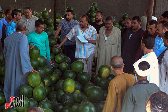 حَمار وحلاوة.. سوق الساحل بمصر القديمة يشهد إقبالا بمناسبة موسم البطيخ (11)