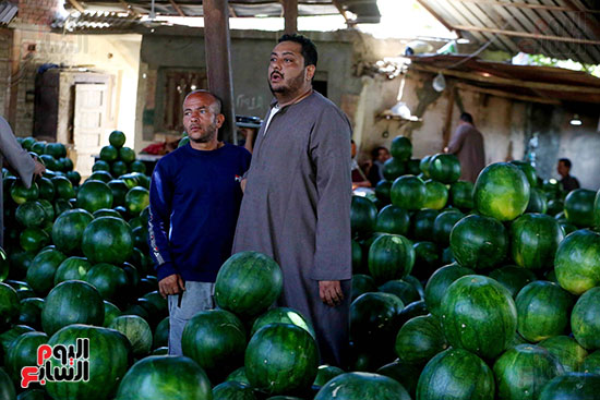 حَمار وحلاوة.. سوق الساحل بمصر القديمة يشهد إقبالا بمناسبة موسم البطيخ (1)