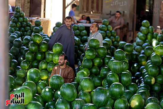 حَمار وحلاوة.. سوق الساحل بمصر القديمة يشهد إقبالا بمناسبة موسم البطيخ (21)