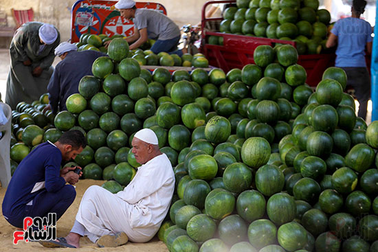 حَمار وحلاوة.. سوق الساحل بمصر القديمة يشهد إقبالا بمناسبة موسم البطيخ (15)