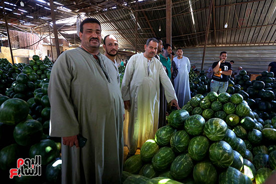 حَمار وحلاوة.. سوق الساحل بمصر القديمة يشهد إقبالا بمناسبة موسم البطيخ (29)