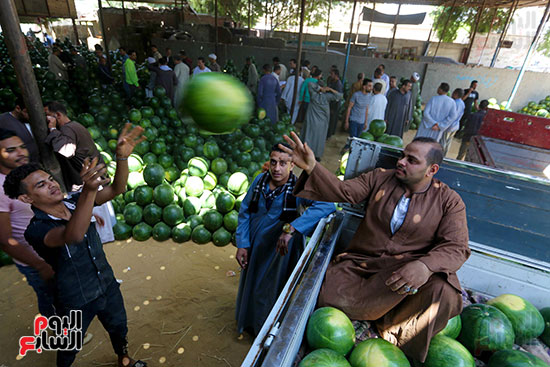 حَمار وحلاوة.. سوق الساحل بمصر القديمة يشهد إقبالا بمناسبة موسم البطيخ (13)