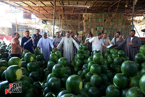حَمار وحلاوة.. سوق الساحل بمصر القديمة يشهد إقبالا بمناسبة موسم البطيخ (30)