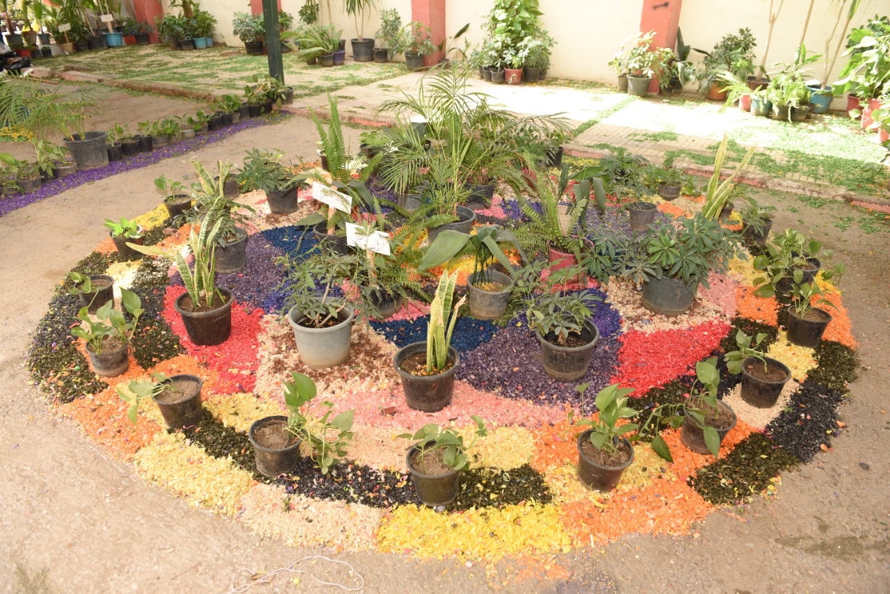 جامعة سوهاج تفتتح معرض زهور الربيع ونباتات الزينة الثاني عشر  (9)