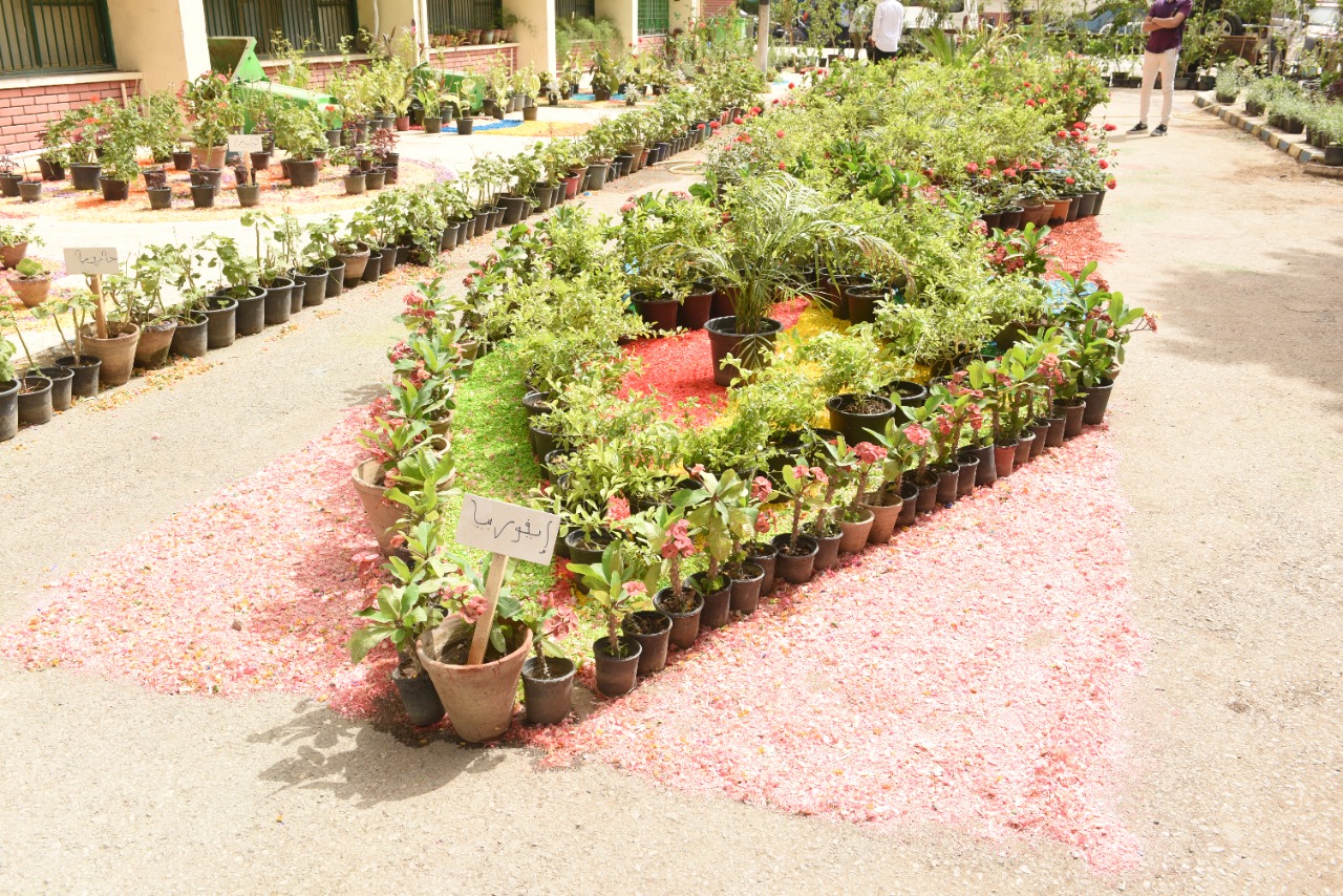 جامعة سوهاج تفتتح معرض زهور الربيع ونباتات الزينة الثاني عشر  (7)
