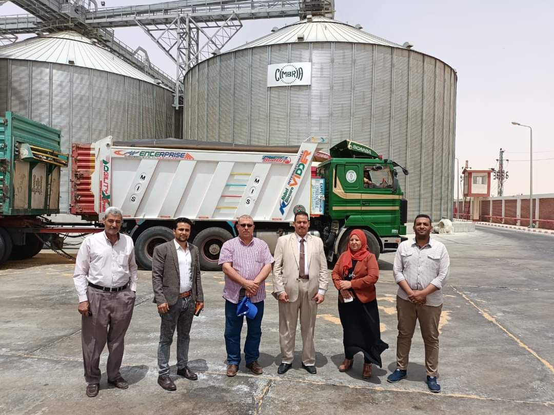 توريد القمح للصوامع داخل وخارج محافظة الوادى الجديد (2)