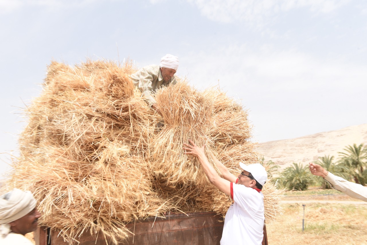 رئيس جامعة سوهاج يفتتح موسم حصاد القمح بمزرعتي الكوامل والكوثر  (8)