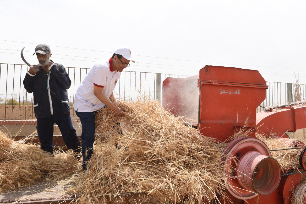 رئيس جامعة سوهاج يفتتح موسم حصاد القمح بمزرعتي الكوامل والكوثر  (6)