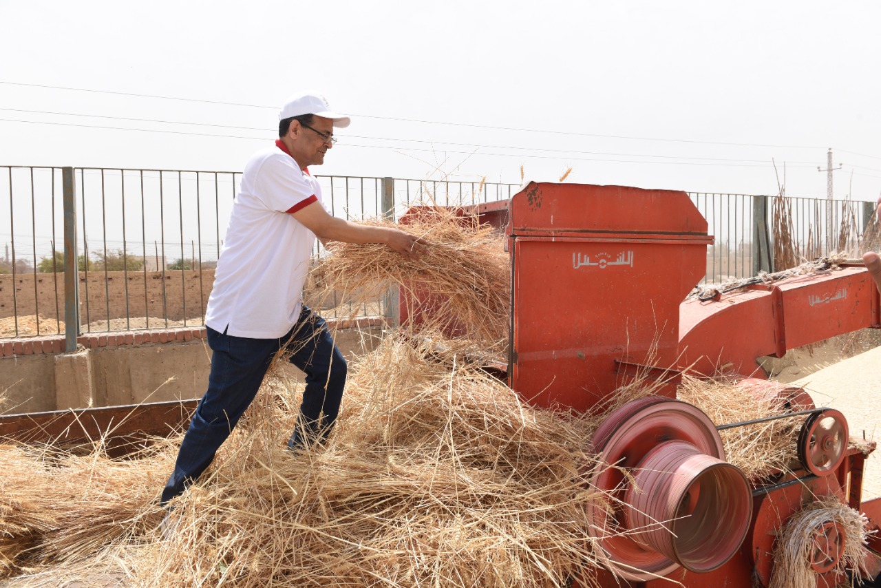 رئيس جامعة سوهاج يفتتح موسم حصاد القمح بمزرعتي الكوامل والكوثر  (24)