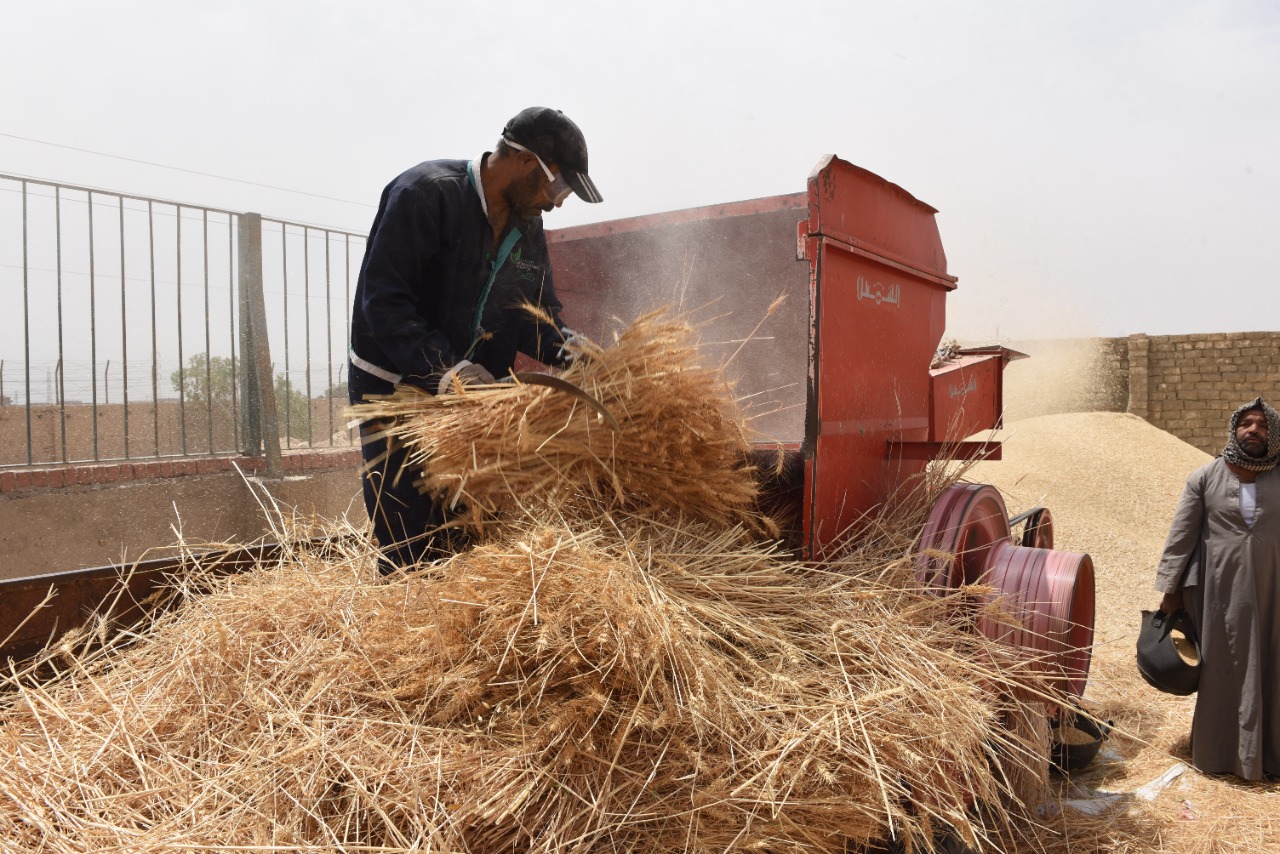 رئيس جامعة سوهاج يفتتح موسم حصاد القمح بمزرعتي الكوامل والكوثر  (25)