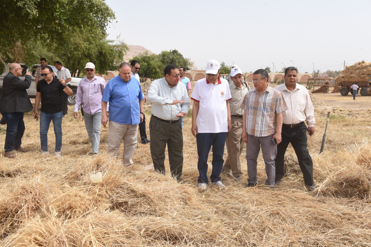 رئيس جامعة سوهاج يفتتح موسم حصاد القمح بمزرعتي الكوامل والكوثر  (16)