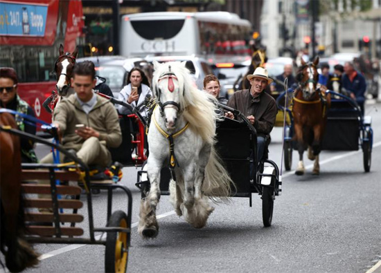 أشخاص يركبون عربات تجرها الخيول على طول طريق في وسط لندن