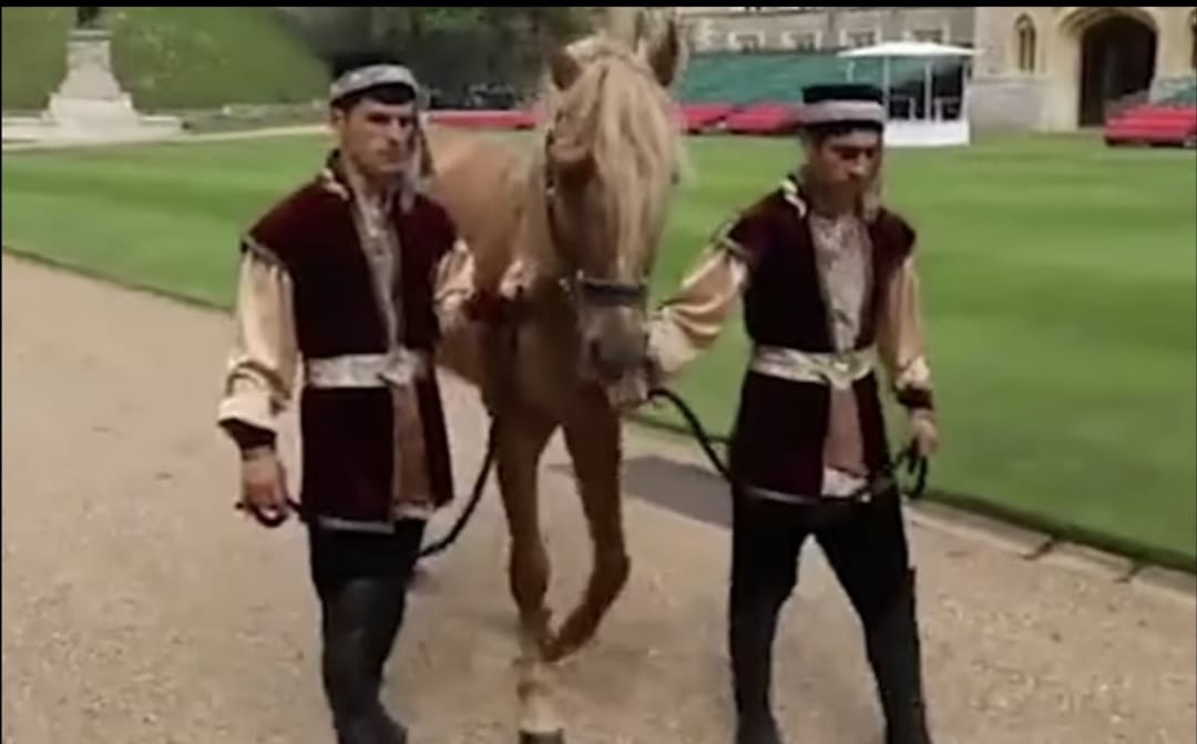 حصان هدية رئيس أذربيجان للملكة اليزابيث